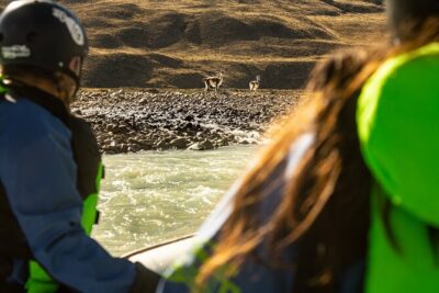 Rafting experience on the Rio de las Vueltas in Patagonia