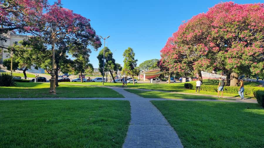 Recoleta Walking Tour and Live Jazz Show - Plaza Francia and the polished face of Recoleta