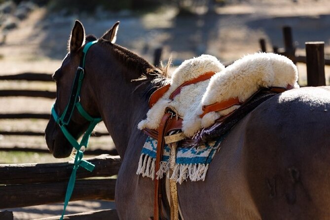 Ride Experience - Canyons & Mounts - Calafate Creek and the first stream crossings
