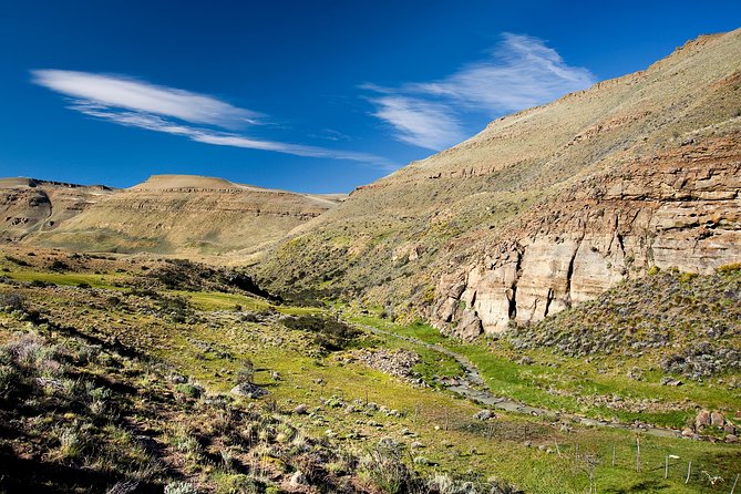 SAFARI EXPERIENCE - WILDLIFE & STEPPE - Leaving El Calafate for the open Patagonian steppe