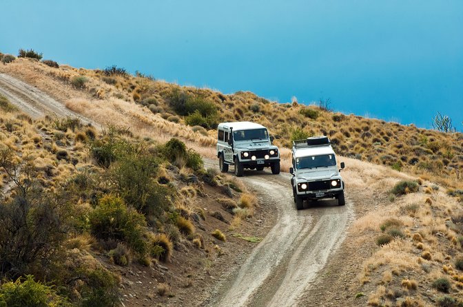 SAFARI EXPERIENCE - WILDLIFE & STEPPE - Reading wildlife in a place that looks empty