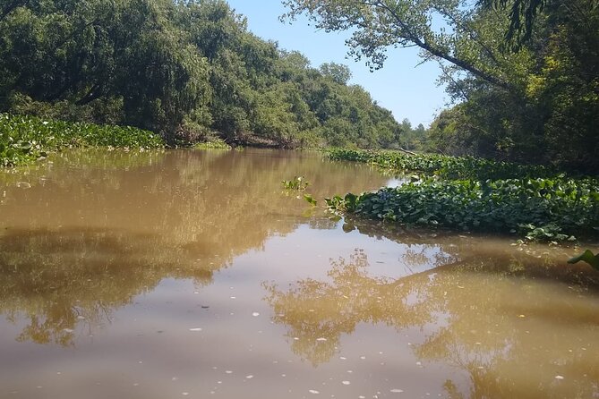 Safari náutico en tigre - Following the Río de la Plata through the Delta
