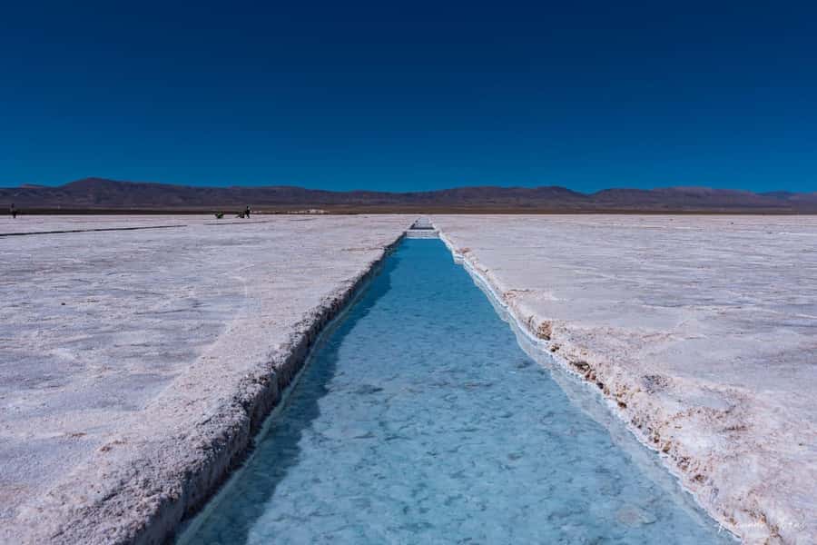 Salta: Cafayate, Cachi, and Salinas Grandes Guided Day Trips - Day one: tobacco farms, red rock, and Cafayate wine