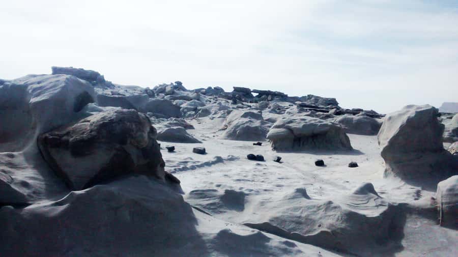 San Juan: Ischigualasto National Park - Moon Valley - Is $190 good value?