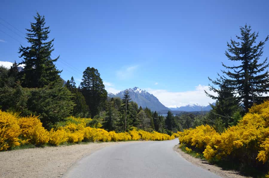 San Martín de los Andes por 7 Lagos - Key points to know before you go
