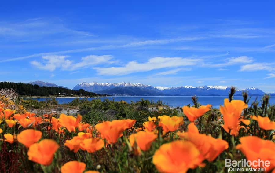 San Martín de los Andes por 7 Lagos - What the $65 price really gives you