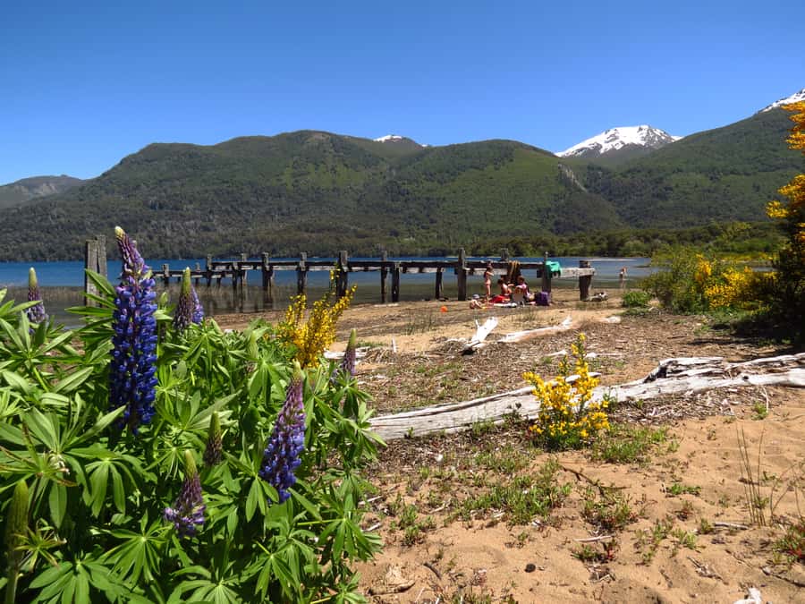 San Martín de los Andes por 7 Lagos - First views around Nahuel Huapi and Limay