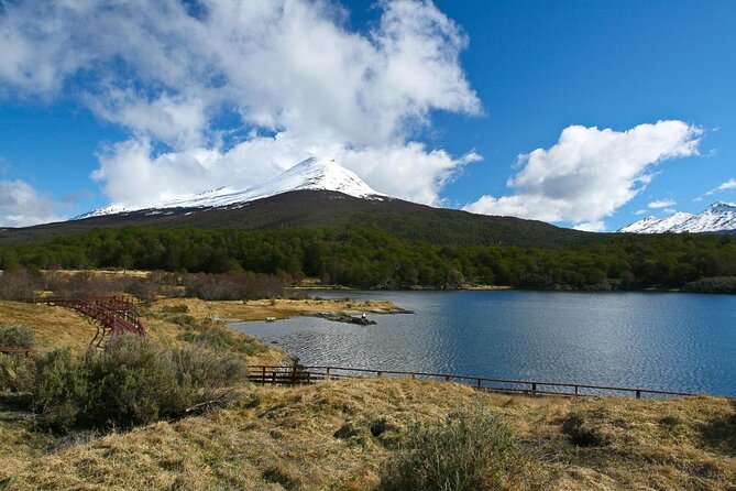 Shore Excursion - National Park Tierra del Fuego - What you are buying for $60