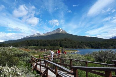 Shore Excursion – National Park Tierra del Fuego