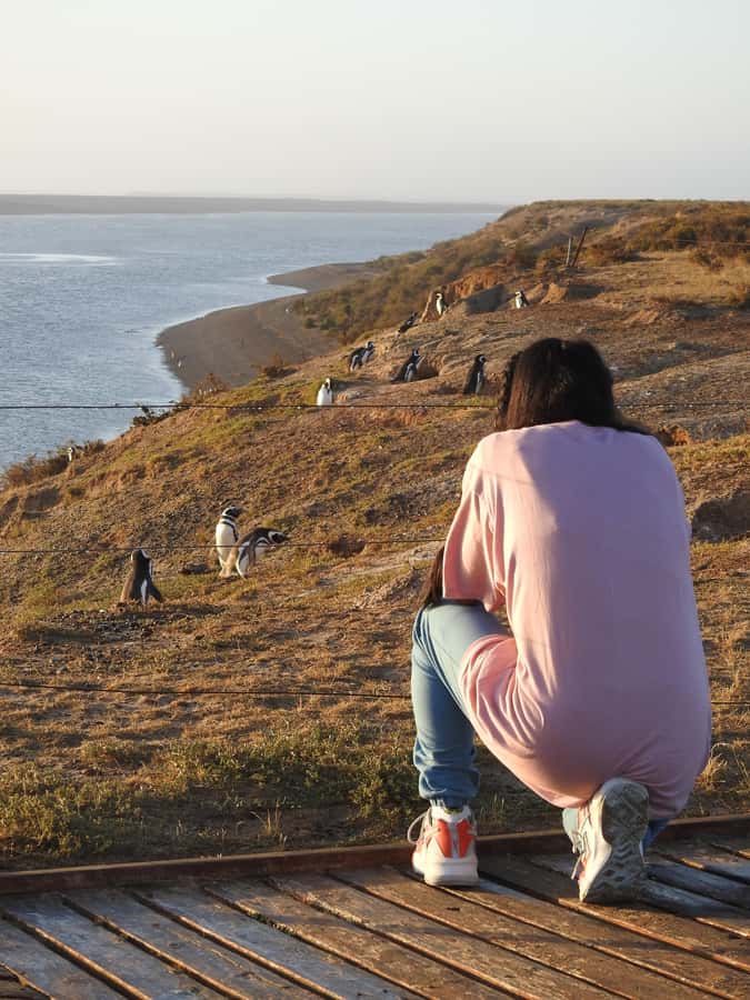 Shore Tours Peninsula Valdes Puerto Madryn Cruise Passengers - The long return to the cruise ship