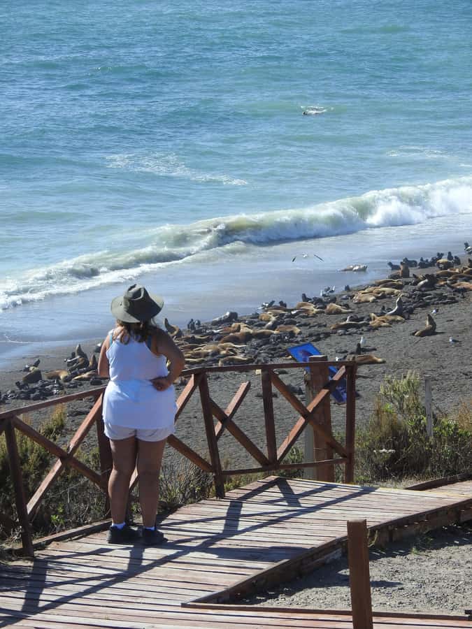 Shore Tours Peninsula Valdes Puerto Madryn Cruise Passengers - The first hour: El Desempeño and the road east