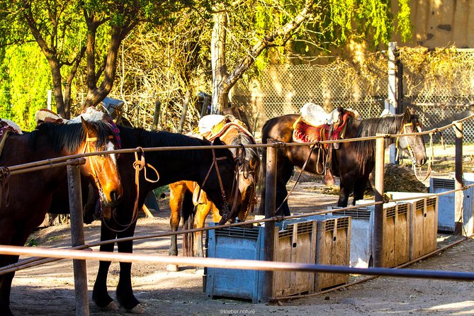 Sunset Horseback Riding - Leaving Mendoza for Lunlunta at 5:30 pm