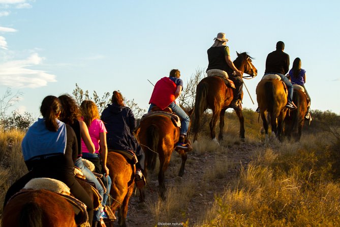 Sunset Horseback Riding - Who will enjoy this ride most?