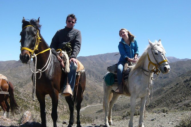 Sunset Horseback Riding - Meeting the horses and learning the basics