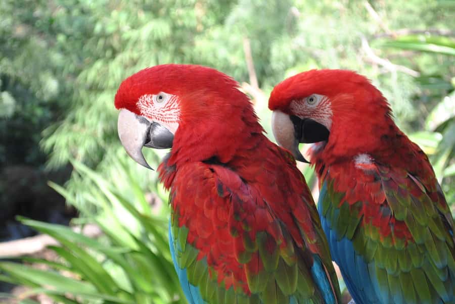 Temaiken Biopark Entry Tickets - Save time for the aquarium