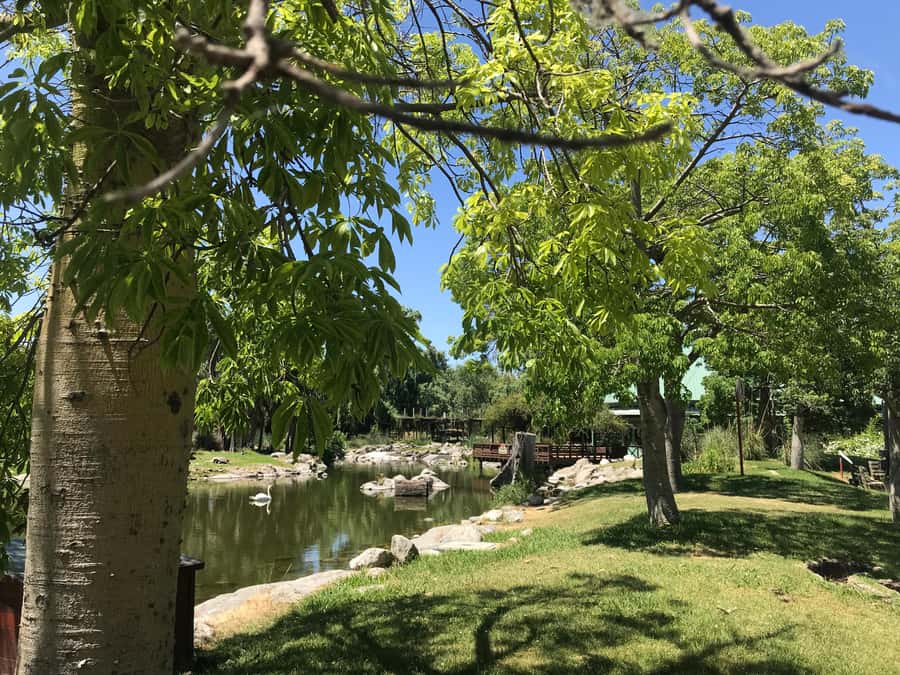 Temaiken Biopark Entry Tickets - Birds, gardens, and the quieter side of the park