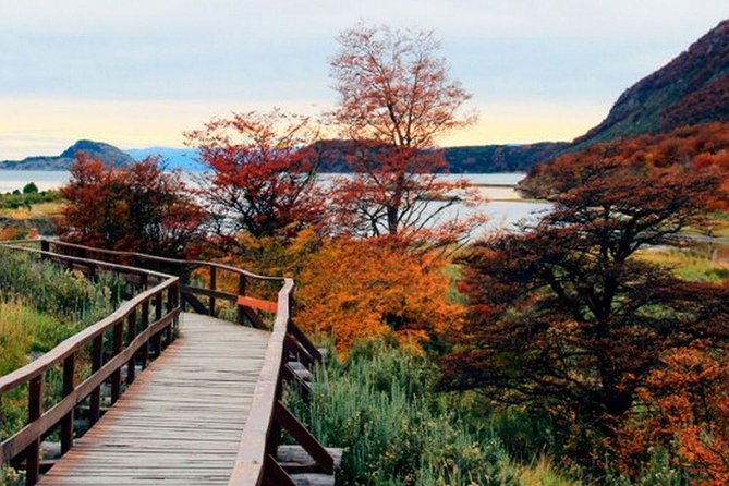 Tierra del Fuego National Park - Lapataia Bay marks the route’s southern endpoint