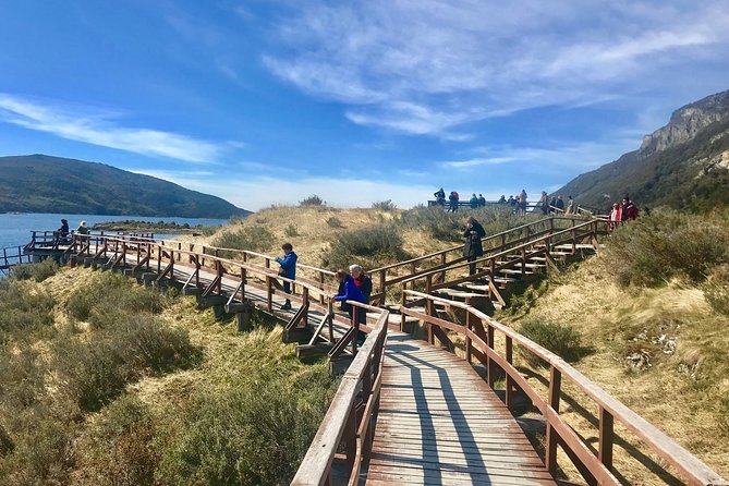 Tierra del Fuego National Park - What the minibus setup means for you