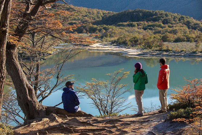Tierra del Fuego National Park Private Tour - Ensenada Zaratiegui and the first Beagle Channel views