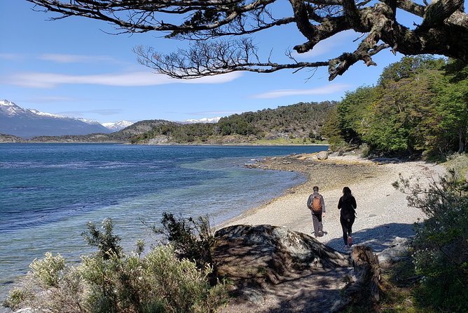 Tierra del Fuego National Park Private Tour - Lago Roca, the tour’s best walking stop