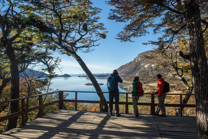 Tierra del Fuego National Park Private Tour - Lapataia Bay and the end of Highway 3