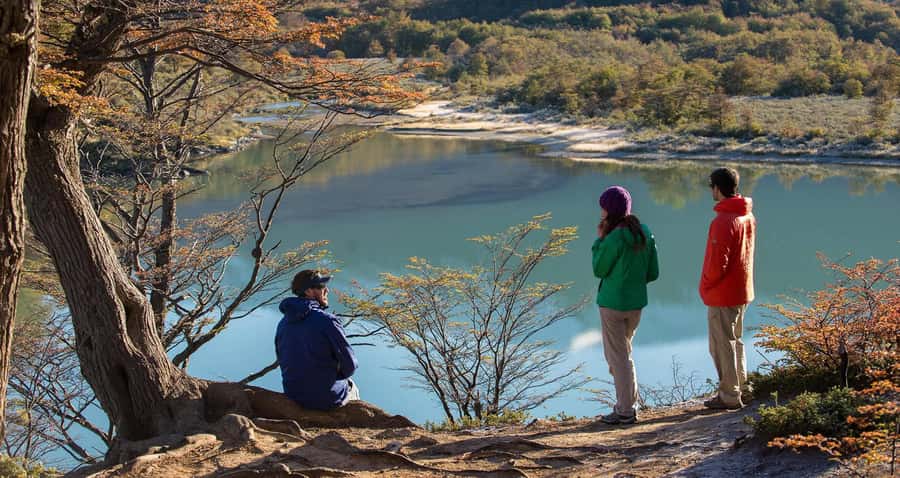 Tierra del Fuego National Park: Small Group Tour with Lunch - Key points at a glance