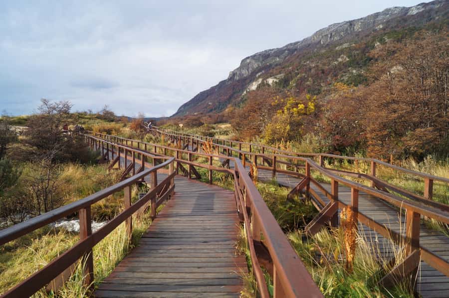 Tierra del Fuego National Park: Small Group Tour with Lunch - Practical details before you reserve