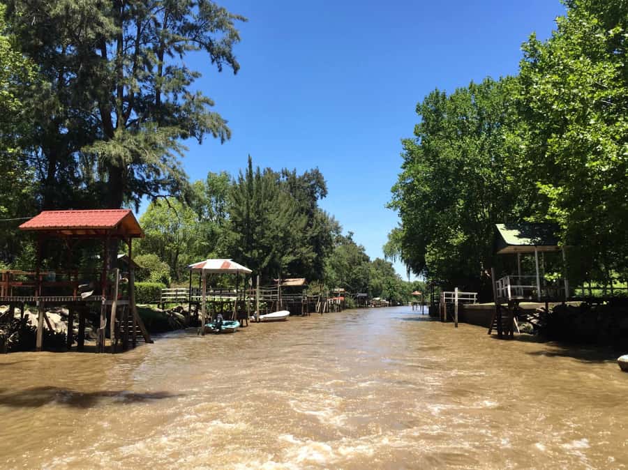 Tigre: River Delta Panoramic Boat Tour - Why Tigre’s Delta feels different from Buenos Aires