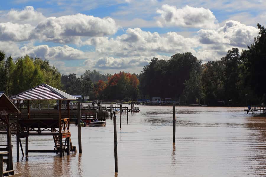 Tigre: River Delta Panoramic Boat Tour - The first stretch on the Luján River