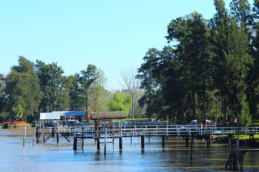 Tigre: River Delta Panoramic Boat Tour - What the $18 fare gives you
