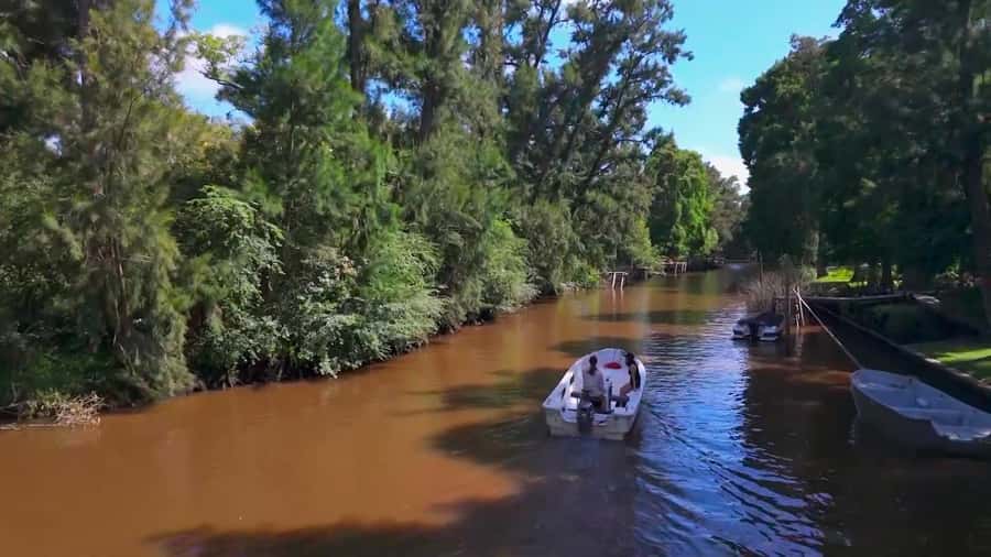 Tigre: Safari Náutico en Tigre/ Biosphere Reserve Boat Tour - Why this Tigre boat trip feels different