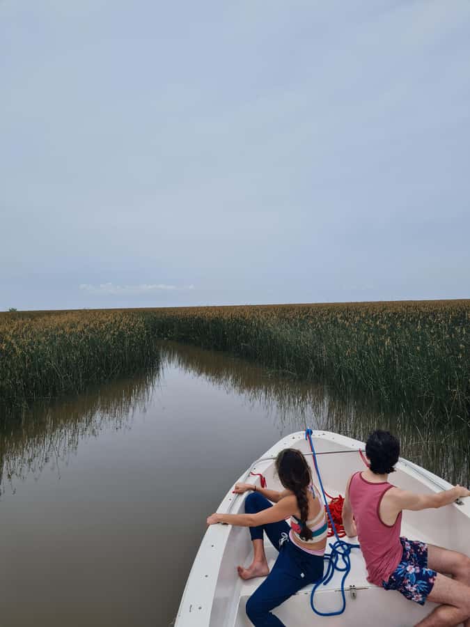 Tigre: Safari Náutico en Tigre/ Biosphere Reserve Boat Tour - Tres Bocas and the first canals