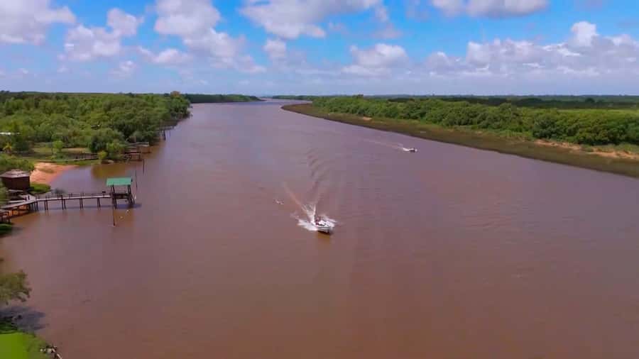 Tigre: Safari Náutico en Tigre/ Biosphere Reserve Boat Tour - Meeting near Tigre station