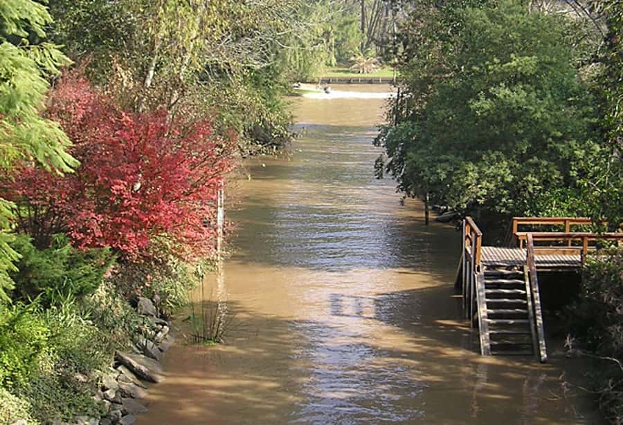 Tigre with Lunch overlooking the River and Navigation - What the guide adds to the day