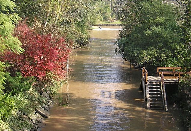 Tigre with Lunch overlooking the River and Navigation - Is $200 a fair price?