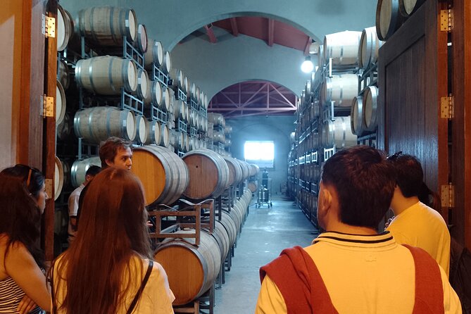Top Rated: Winery Tour with Lunch in Mendoza - What the $129 price includes