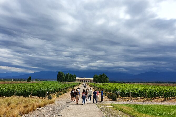 Top Rated: Winery Tour with Lunch in Mendoza - The first winery: production, place, and premium tasting