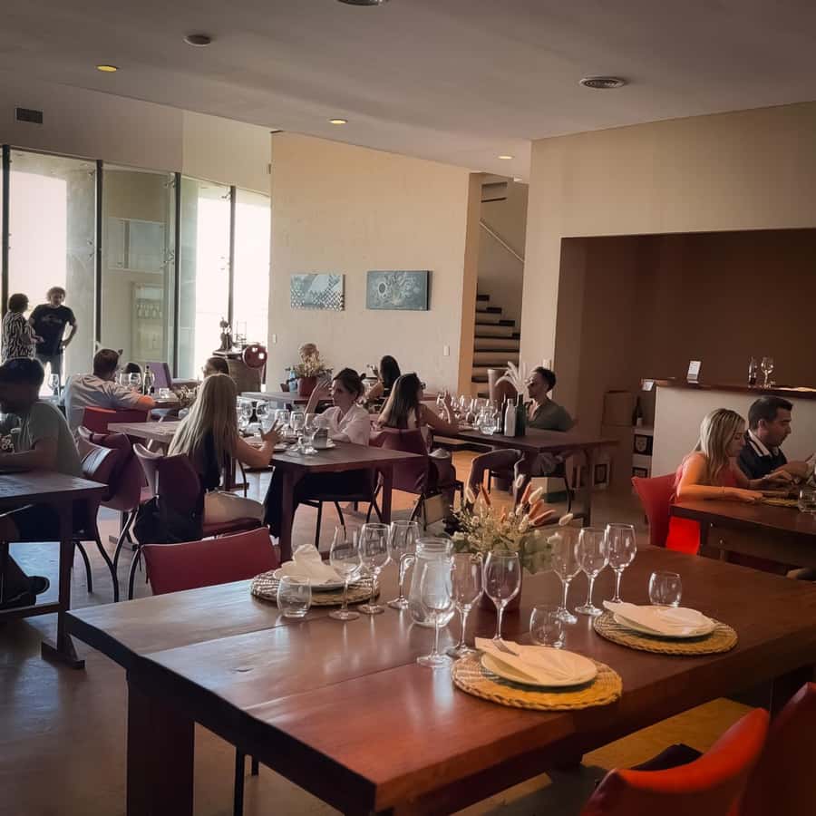 Tour of 3 wineries in Maipú with lunch + olive groves - Olive groves and the food side of Mendoza