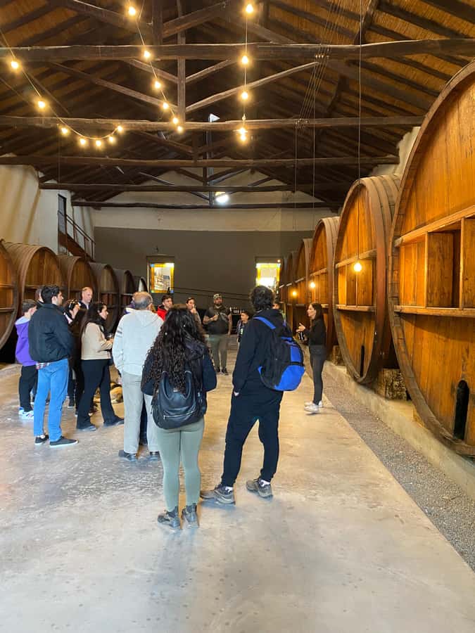Tour of 3 wineries in Maipú with lunch + olive groves - Walking, bathrooms, and other practical details