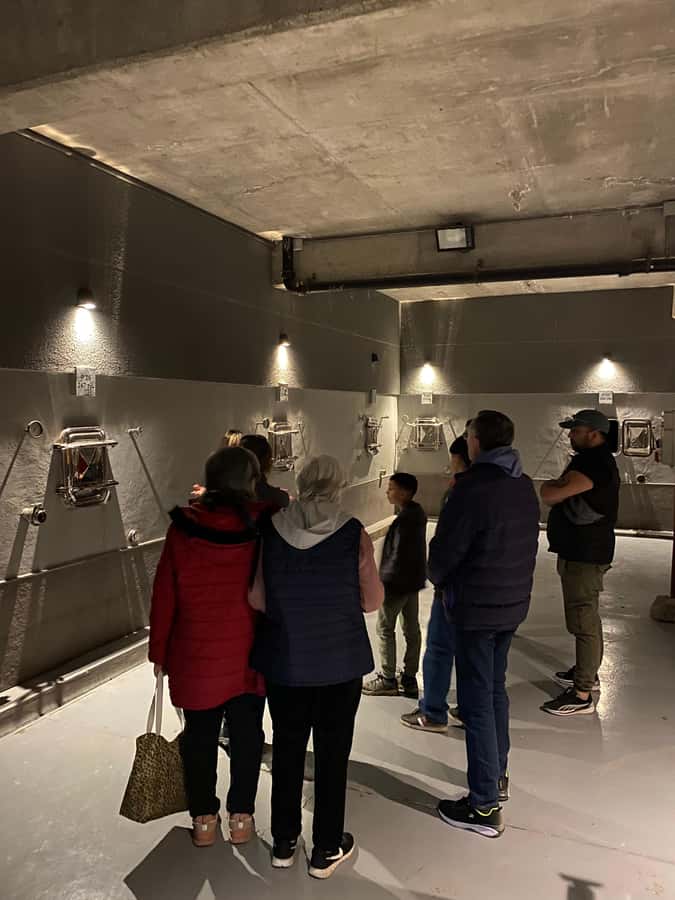 Tour of 3 wineries in Maipú with lunch + olive groves - The morning pickup and ride into wine country