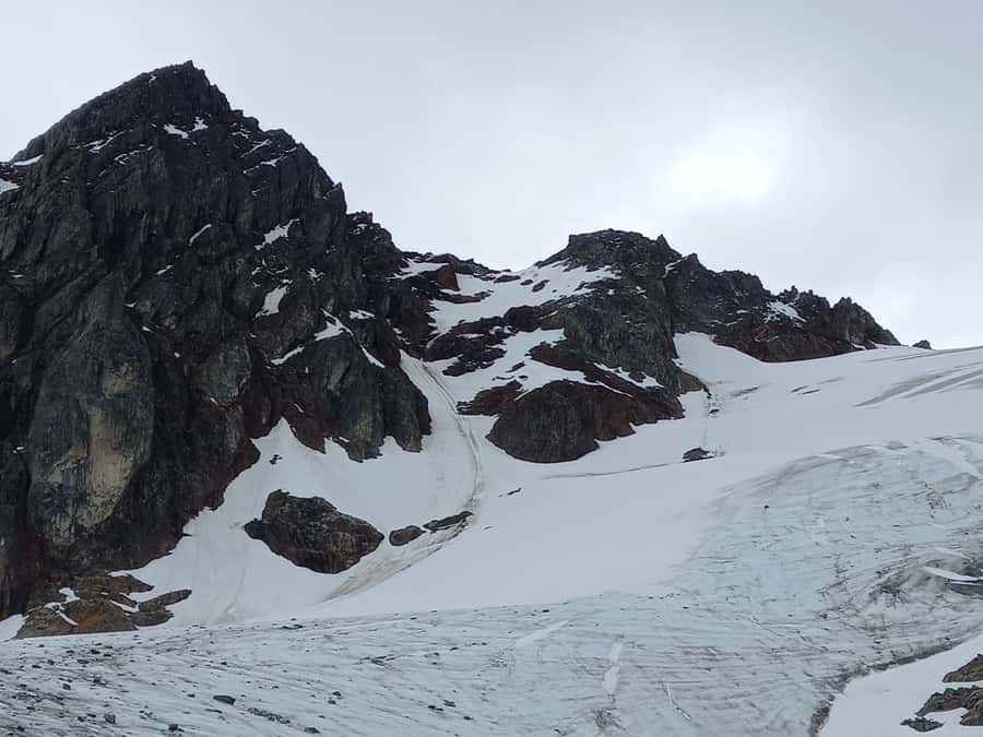 Trekking to Vinciguerra glacier and Tempanos lagoon - Climbing above the trees