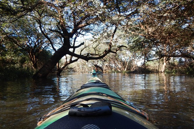 TRU KAYAK - Cruise along the majestic Uruguay River - Starting beside the Uruguay River at 10:00 am