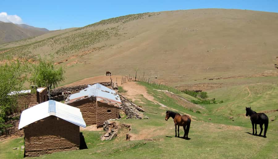 Tucumán: Tafí del Valle Full Day Tour - San Jose del Monte Ruins and the Lules past
