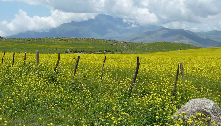 Tucumán: Tafí del Valle Full Day Tour - Menhires Park and el Mollar