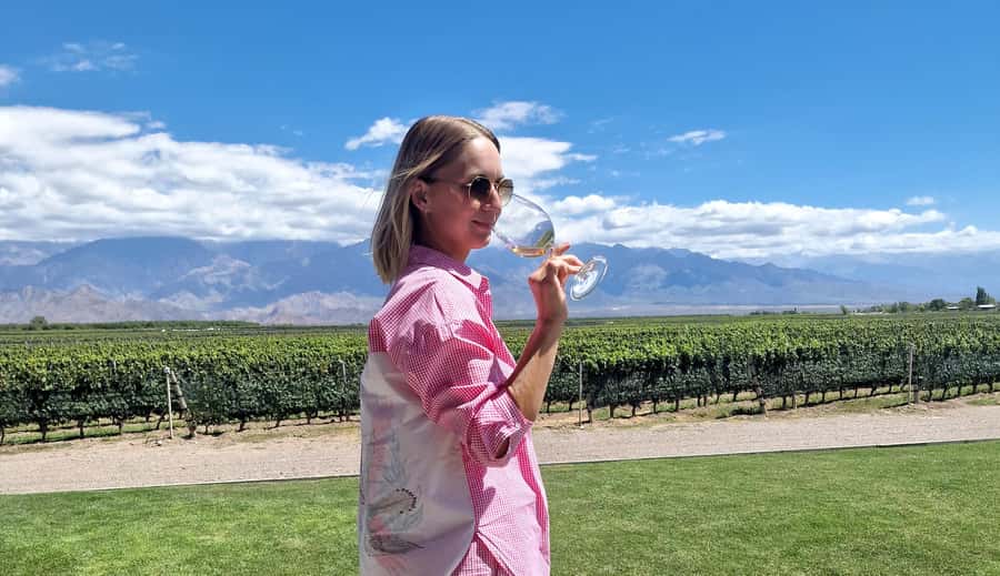 Uco Valley, Mendoza: One-Day Private Wine Tour Experience - Why the Uco Valley makes a strong day trip from Mendoza