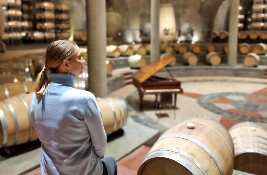 Uco Valley, Mendoza: One-Day Private Wine Tour Experience - What Natalie adds to the day