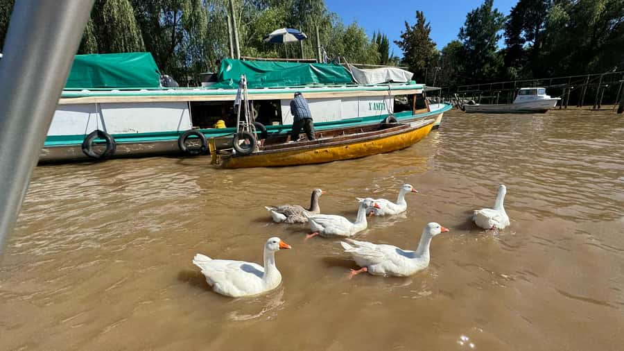 Unique Tigre and Delta Private Day Cruise Navegation - Why the Buenos Aires Delta makes a good day out