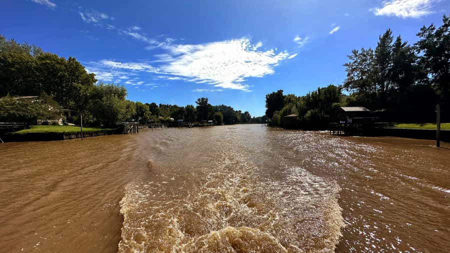 Unique Tigre and Delta Private Day Cruise Navegation - The 1.5-hour boat ride through the Paraná Delta
