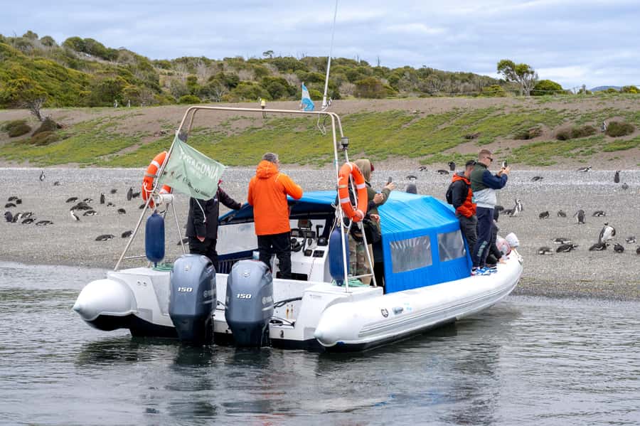 USHUAIA: ALMANZA, THE SPIDER CRAB ROUTE & PENGUIN SIGHTING - Leaving Ushuaia on National Route 3