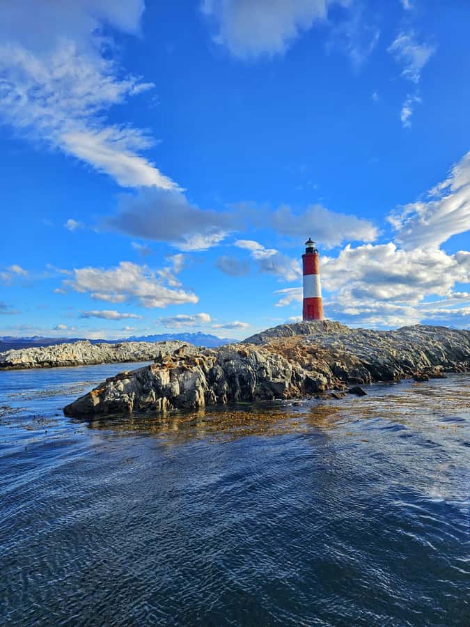 Ushuaia: Beagle Channel and Penguin Island - Why this five-hour cruise is worth your Ushuaia time